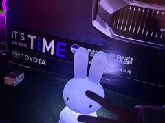 -枫花园汽车电影院(朝阳公园店)