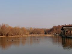 -溱湖国家湿地公园