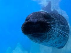 -多彩贵州城极地海洋世界