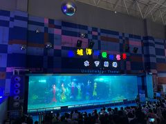 -泉城欧乐堡海洋极地世界