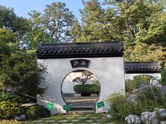 -上海共青森林公园