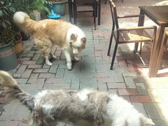 -豆舞咖啡(民乐路店)