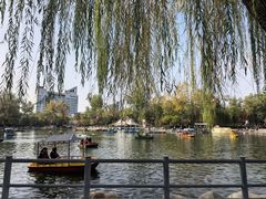 -莲湖公园