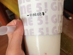 -一只酸奶牛(东方广场店)