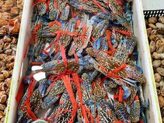 -南沙十九涌渔人码头-南门