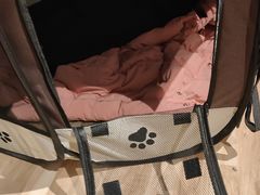 -伟伟宠物医院·CT影像中心·瑞派犬猫综合性门诊(汉口总院)