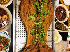 -胡桃里民谣酒馆