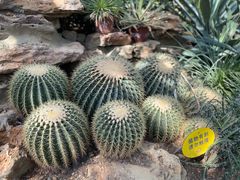 -国家植物园南园