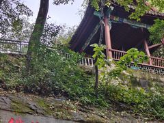 -黔灵山公园