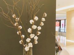 -Seesaw Coffee(上海国金中心店)
