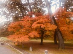-京都御所