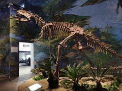 -自贡恐龙博物馆