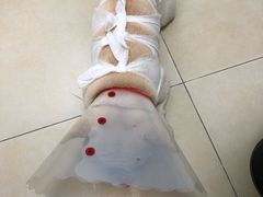 -宠福鑫康馨动物医院·骨科·眼科