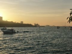 -鸿港海鲜批发市场