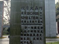 -南山植物园