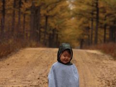 -塞罕坝国家级自然保护区