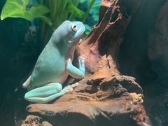 -上海大自然野生昆虫馆