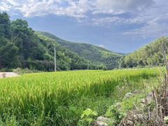 -荔明优客酒店(广州增城挂绿广场店)