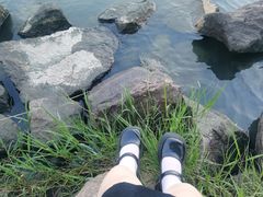 -漕湖湿地公园