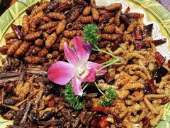 -老滇山寨•云南特色菜•地方菜•民族风情歌舞表演(金碧店)