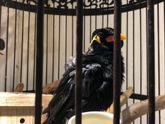 -清真·京华源铜锅涮肉(丰庆店)