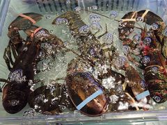 -阿伟海鲜楼·福建菜(延寿店)