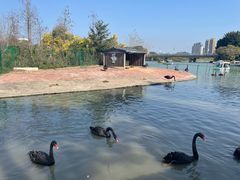 -琅岐红光湖公园