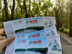 -东湖落雁景区