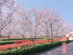 -上海山野camping·户外天幕烧烤·团建拓展营地