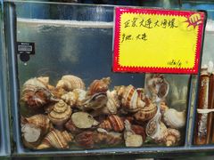 -蚝专家(北滘店)