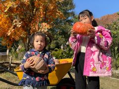 -HERRE·FARM 赫尔露营农场·团建聚会包场