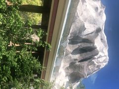 -上海海昌海洋公园