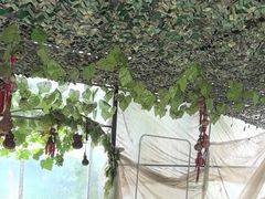 -马陆小张葡萄园农家乐