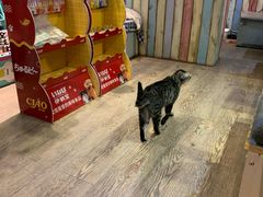 -小时光咖啡馆(开森度假森林店)