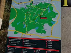 -火炉山森林公园