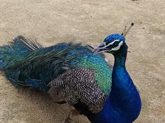 -杭州野生动物世界