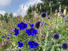 -白草畔自然风景区