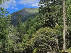 -金鼎雪山牦牛杂火锅(理县总店)