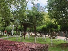 -武昌江滩