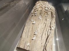 -景德镇中国陶瓷博物馆