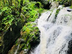 -藏龙百瀑风景区