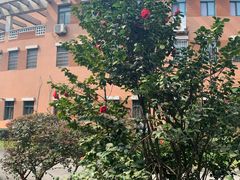 -四川大学(望江校区)