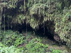 -海口火山口国家地质公园