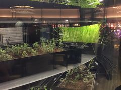 -星汇餐厅(新濠影汇店)