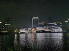-金沙湖公园