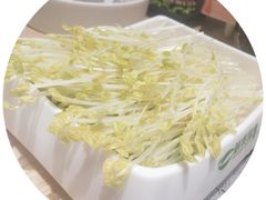 -鲜货俚鲜火锅(青果路店)