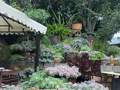 -山菌美食苑(振兴路店)