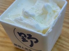 -野人先生Gelato(上海长宁龙之梦店)