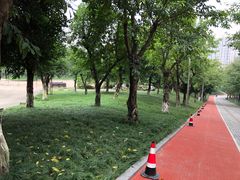 -龙头寺公园