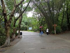 -滴水岩森林公园